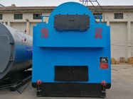 Advanced Hard Coal Boiler 1-6 Ton Per HR With Economizer Large Radiation Surface